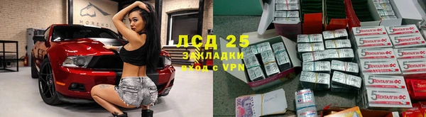 крисы Богданович