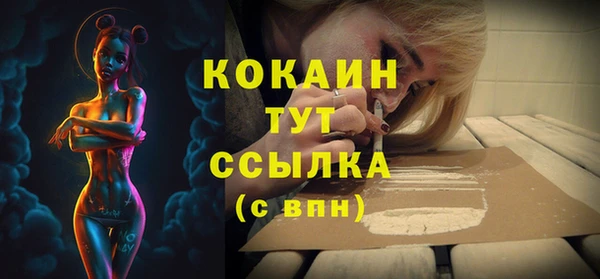 крисы Богданович