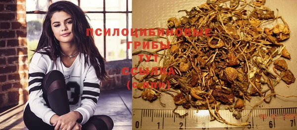 МДПВ Богородск