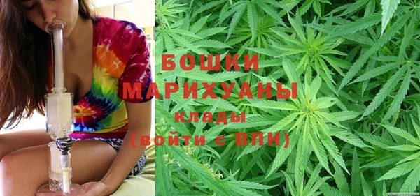 МДПВ Богородск
