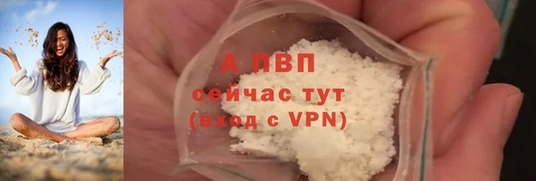 МДПВ Богородск