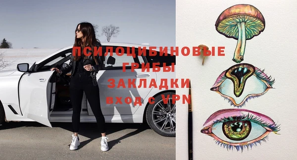 МДПВ Богородск