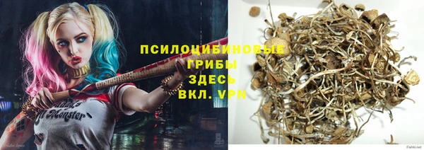 прущая мука Богородицк