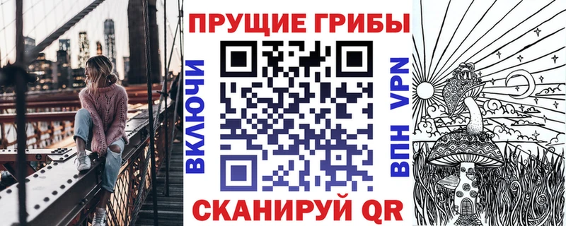 Купить закладки  Пучеж  Галлюциногенные грибы Psilocybe 